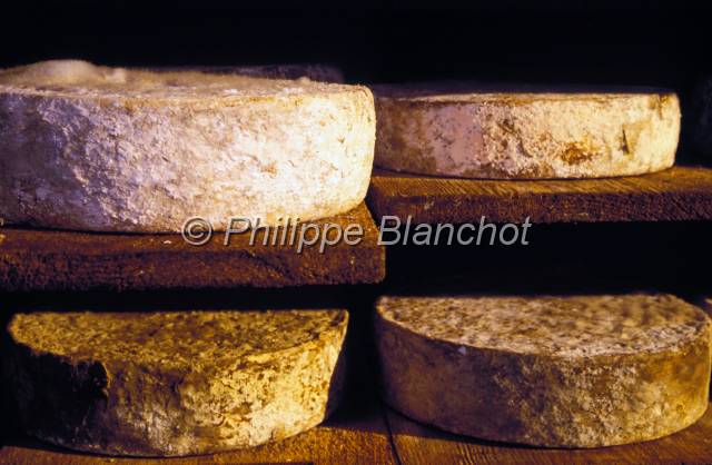 tomme de savoie 22.JPG - Tomme de SavoieAlpageMassif des BaugesSavoieFrance